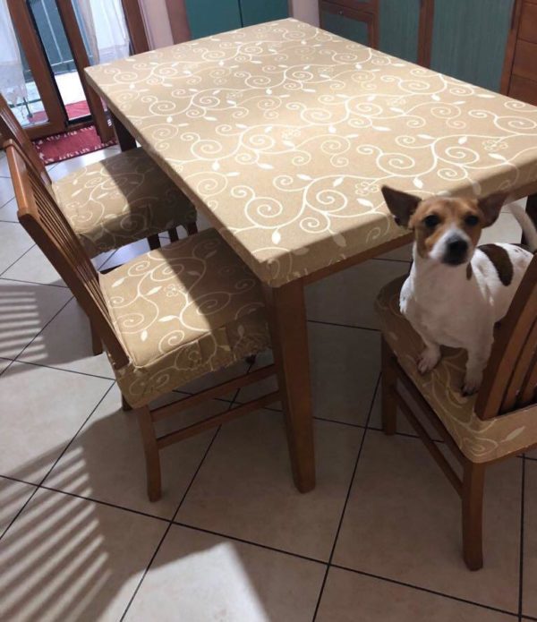 PHOTO-2020-04-18-13-24-05